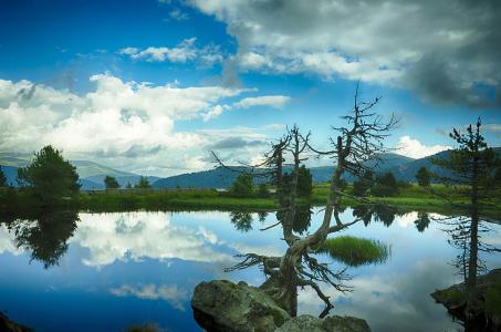 ƶ|ɽ׵طƶǨƶ˿ȫȶƶ